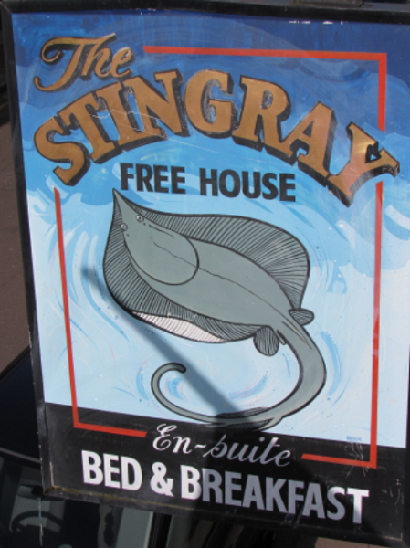 The Stingray in Harwich